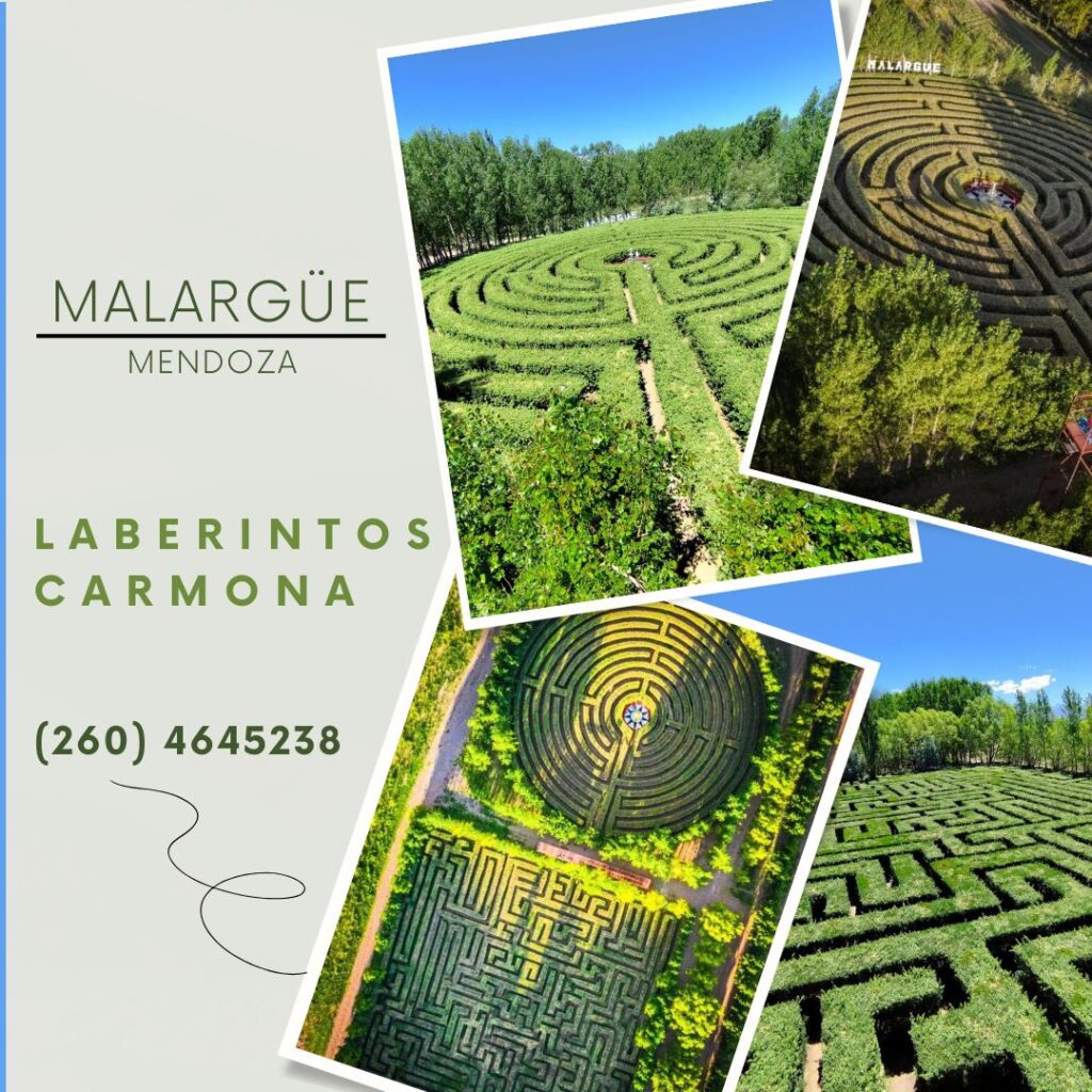 La iniciativa para Pata Mora busca avanzar en la construcción de un nuevo núcleo económico estratégico en el sur de Malargüe.