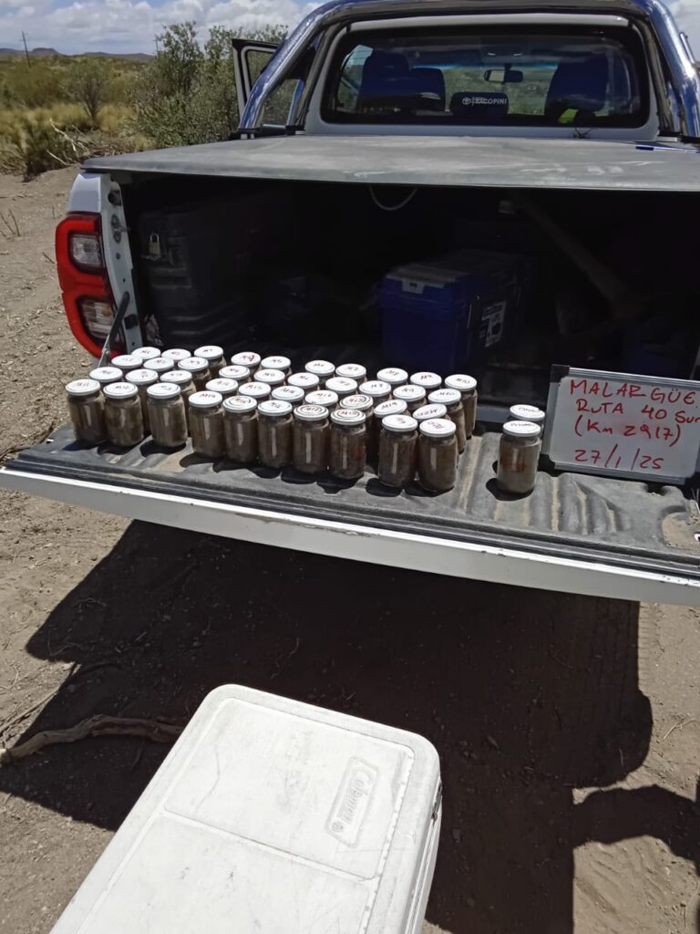 Como parte del proceso, se realizó un muestreo exhaustivo del suelo y los cauces cercanos.