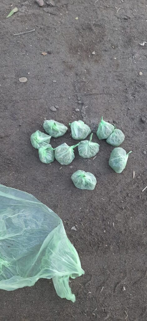 El joven habría emprendido la fuga al ver a la policía acercándose y luego, descartado marihuana en un descampado. Finalmente, fue detenido.