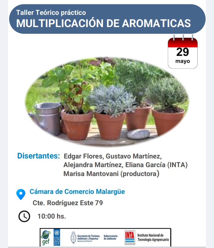 Aprender a multiplicar plantas aromáticas será posible en un taller gratuito abierto a toda la comunidad.