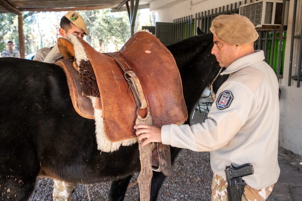Se decomisó carne de dudosa procedencia y se hallaron verduras almacenadas en un baño. Los dueños fueron detenidos.