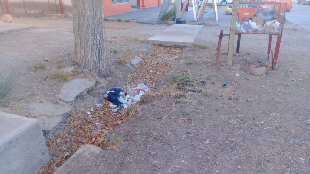 Vecinos molestos por animales sueltos que rompen bolsas de basura en varios barrios y que el camión recolector no cumple con los recorridos.